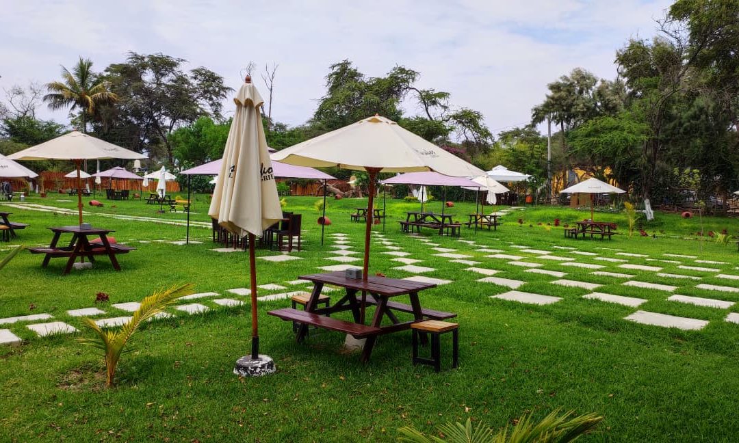 tours al bosque de pomac en chiclayo todo incluido